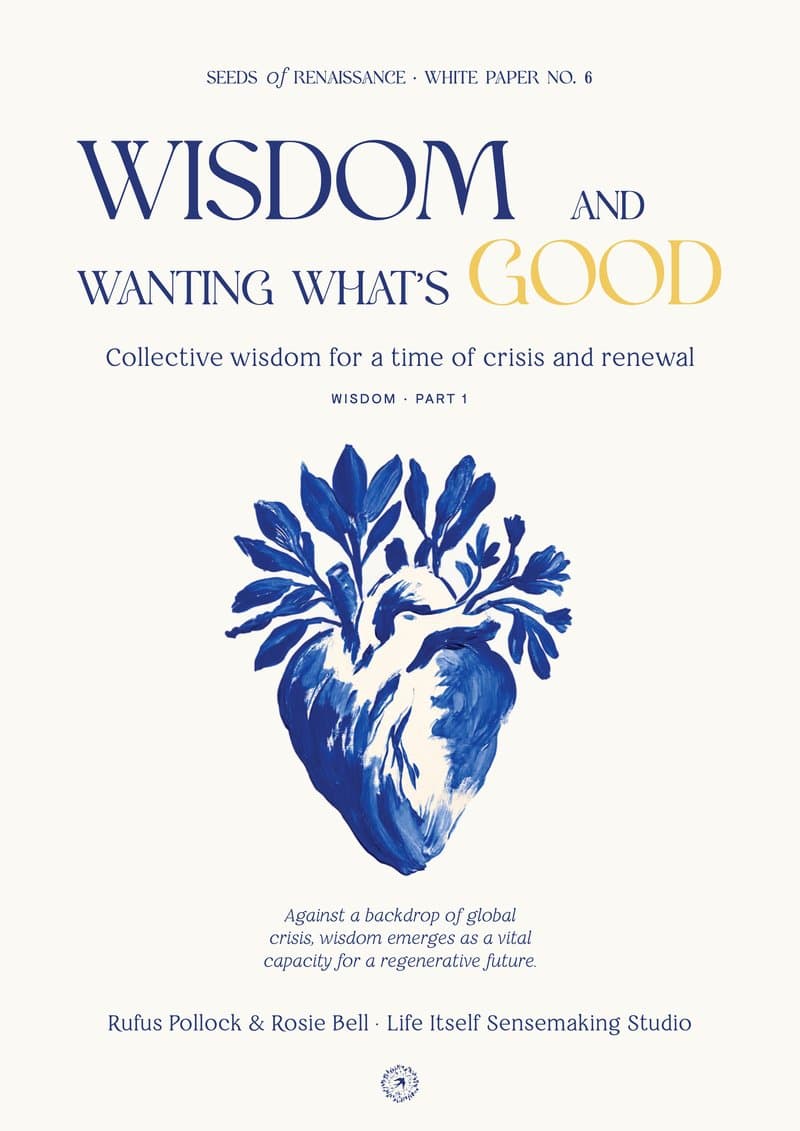 The cover